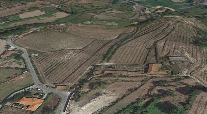 Ferme T4 à Gandra de 479 m²