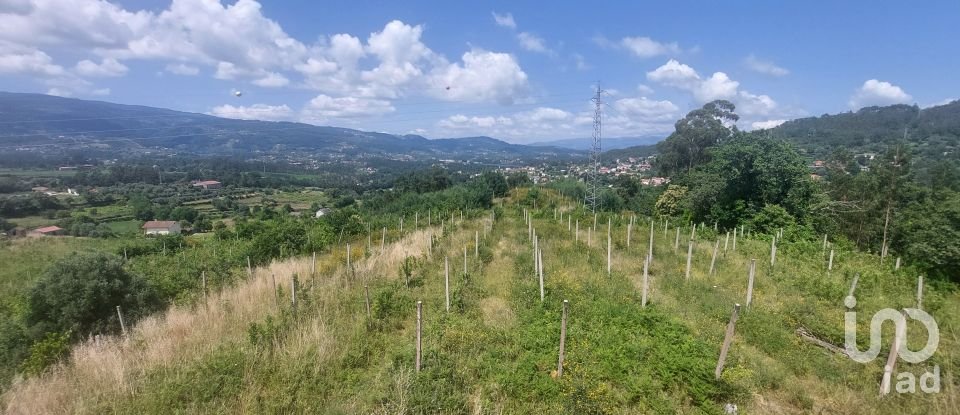 Ferme T4 à Gandra de 479 m²