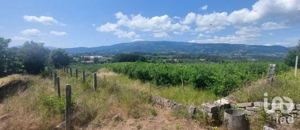 Ferme T4 à Gandra de 479 m²