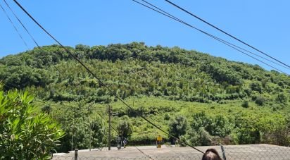 Terrain à Sobral de Monte Agraço de 37 640 m²