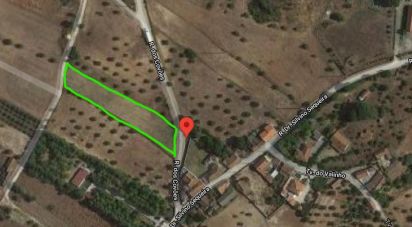 Terrain à Azambujeira e Malaqueijo de 3 170 m²