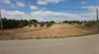 Terrain à Azambujeira e Malaqueijo de 3 170 m²