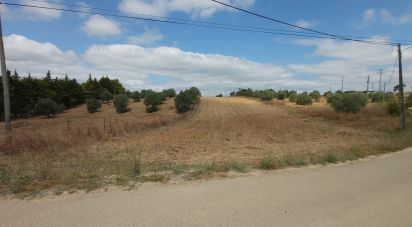 Terrain à Azambujeira e Malaqueijo de 3 170 m²
