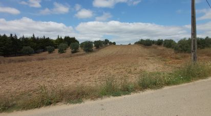 Terrain à Azambujeira e Malaqueijo de 3 170 m²