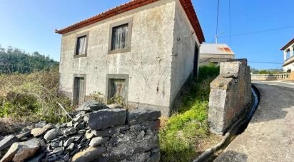 Land in Estreito da Calheta of 2,699 m²