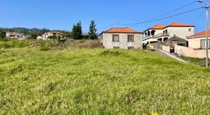 Land in Estreito da Calheta of 2,699 m²