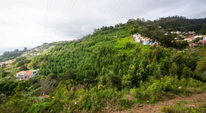 Terrain à São Gonçalo de 26 520 m²