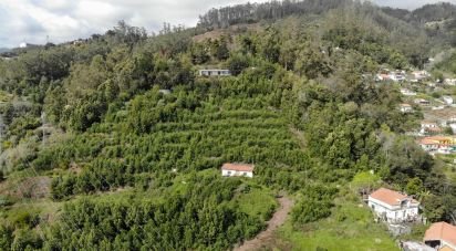 Terrain à São Gonçalo de 26 520 m²