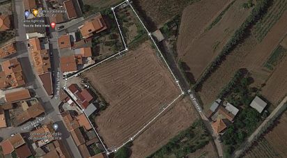 Terrain à bâtir à Lourinhã e Atalaia de 5 120 m²