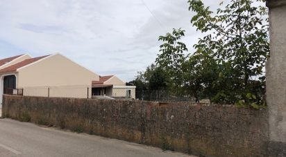 Building plot in Monte Real e Carvide of 2,160 m²