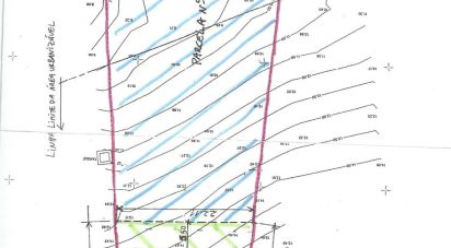 Land in Castro Marim of 1,271 m²