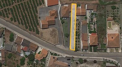 Land in Cadaval e Pêro Moniz of 246 m²
