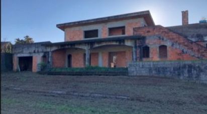 Terrain à Oliveira De Azeméis, Santiago De Riba-Ul, Ul, Macinhata Da Seixa E Madail de 4 480 m²