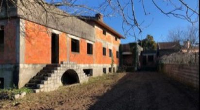 Terrain à Oliveira De Azeméis, Santiago De Riba-Ul, Ul, Macinhata Da Seixa E Madail de 4 480 m²