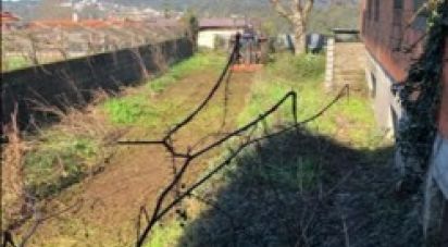 Terrain à Oliveira De Azeméis, Santiago De Riba-Ul, Ul, Macinhata Da Seixa E Madail de 4 480 m²