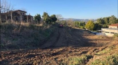 Terrain à Oliveira De Azeméis, Santiago De Riba-Ul, Ul, Macinhata Da Seixa E Madail de 4 480 m²