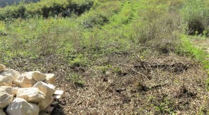 Land in Malveira e São Miguel de Alcainça of 917 m²