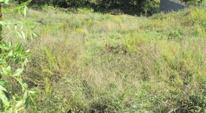 Land in Malveira e São Miguel de Alcainça of 917 m²