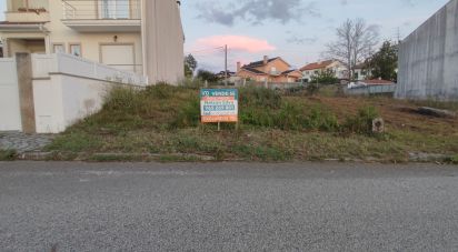 Building land in Campo of 220 m²