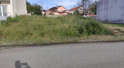 Building land in Campo of 220 m²