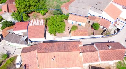 Gîte T4 à Santa Catarina de 265 m²