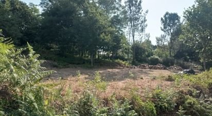 Land in Sul of 800 m²