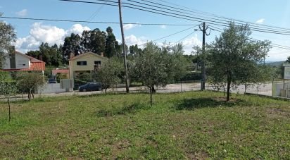 Land in Cavernães of 4,010 m²