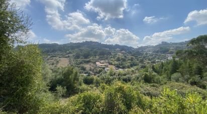 Terrain à Ramada e Caneças de 2 560 m²