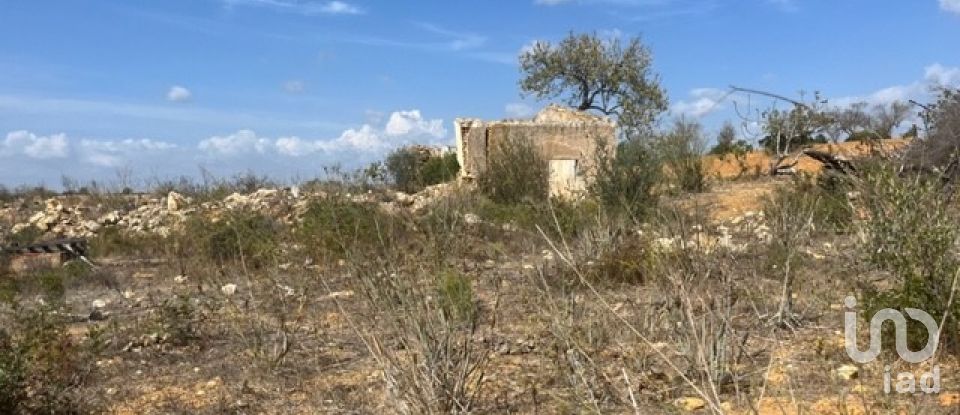 Building land in Guia of 47,010 m²
