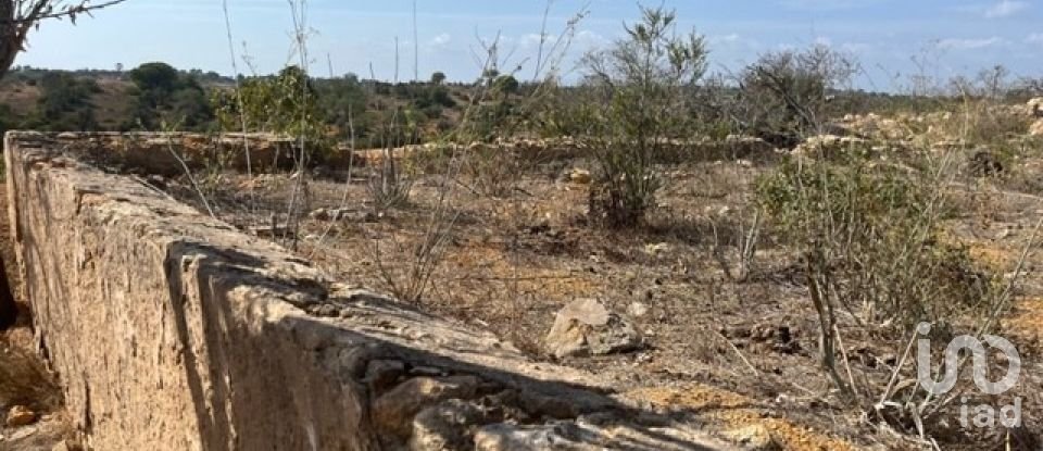 Terrain à bâtir à Guia de 47 010 m²