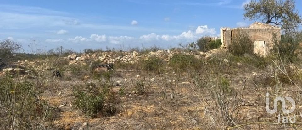 Terrain à bâtir à Guia de 47 010 m²