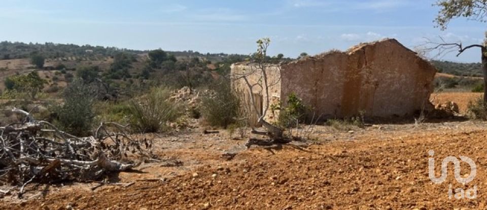 Terrain à bâtir à Guia de 47 010 m²