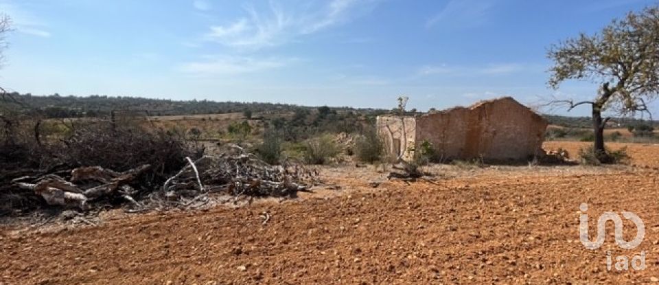 Terrain à bâtir à Guia de 47 010 m²