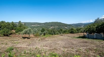 Terrain à Góis de 950 m²