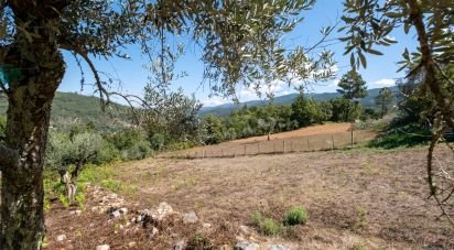 Terrain à Góis de 950 m²