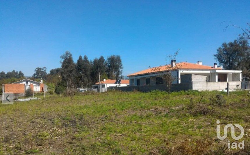 Land in Vila Verde e Barbudo of 6,836 m²