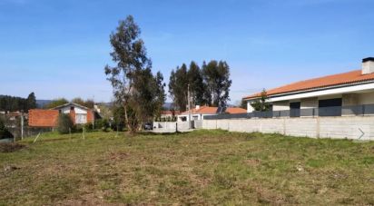 Terrain à Vila Verde e Barbudo de 6 836 m²