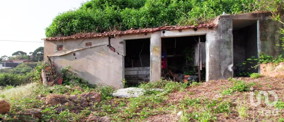 Country home T3 in Carvalhal Benfeito of 130 m²