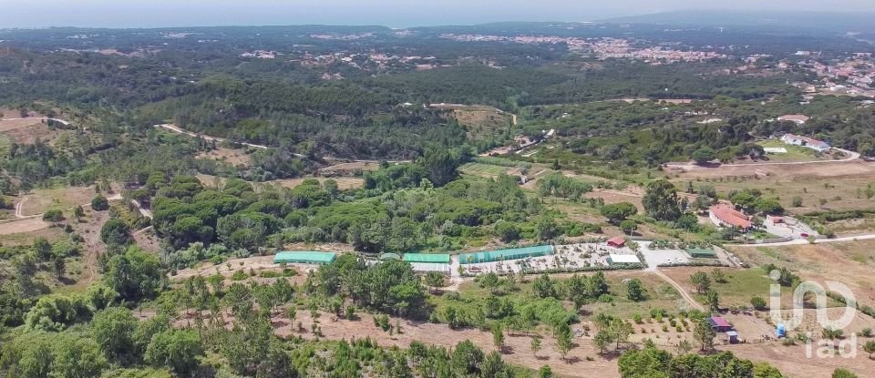 Land in Sesimbra (Castelo) of 8,000 m²
