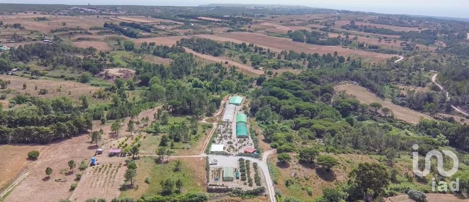 Land in Sesimbra (Castelo) of 8,000 m²