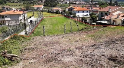 Terrain à São Torcato de 4 400 m²