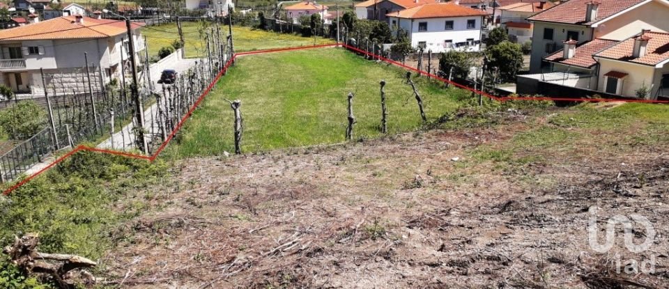 Land in São Torcato of 4,400 m²