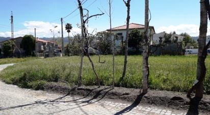 Terrain à São Torcato de 4 400 m²