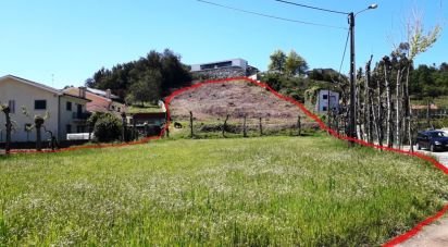 Terrain à São Torcato de 4 400 m²