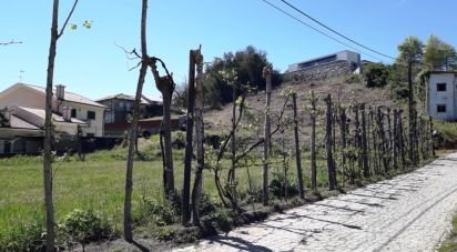 Terrain à São Torcato de 4 400 m²