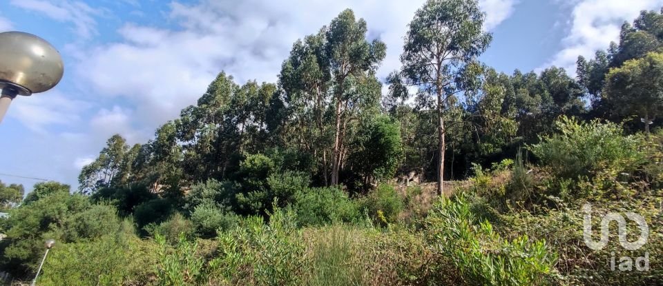 Terreno em Seixas de 778 m²