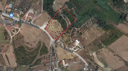 Terrain à Azambujeira e Malaqueijo de 14 120 m²