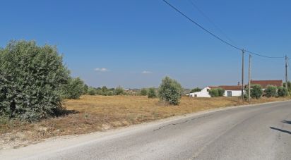 Terrain à Azambujeira e Malaqueijo de 14 120 m²