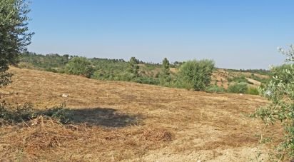 Terrain à Azambujeira e Malaqueijo de 14 120 m²