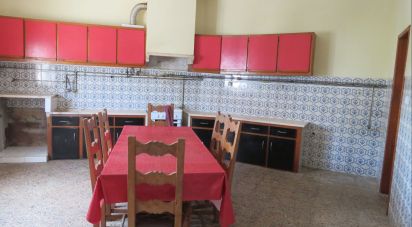 House T3 in Arrouquelas of 437 m²